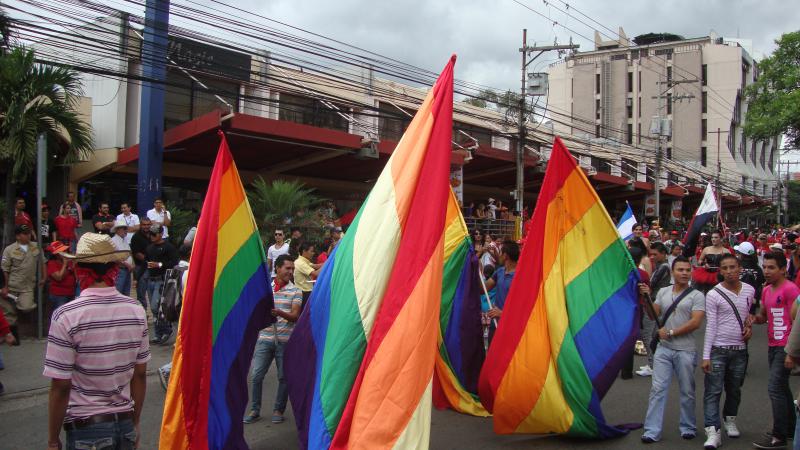 Fahnen der LGBT-Gemeinschaft Fahnen der LGBT-Gemeinschaft