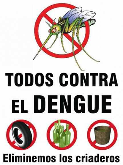 Kampagnenplakat gegen Dengue. Die Brut der Überträger-Stechmücke braucht zur Entwicklung nur kleine Wasseransammlungen