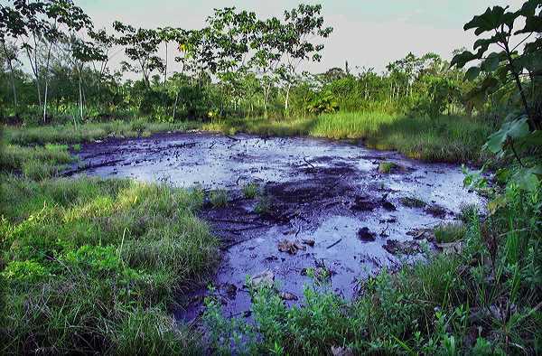 Von Texaco verursachte Umweltschäden im Amazonasgebiet in Ecuador