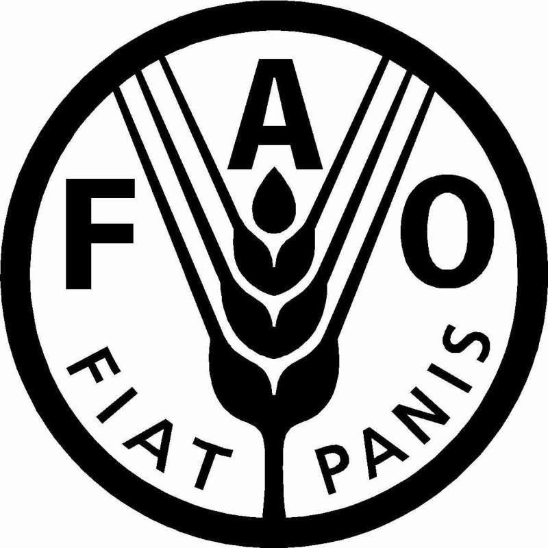 Logo der Ernährungs- und Landwirtschaftsorganisation der Vereinten Nationen (FAO)