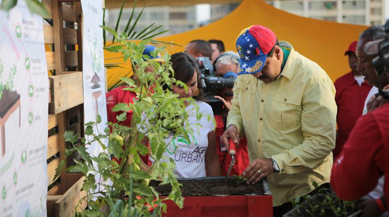 Präsident Maduro bei einer Bürgeraktion zur Förderung der städtischen Landwirtschaft