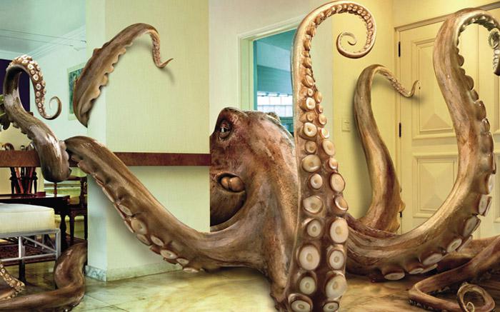 Krake