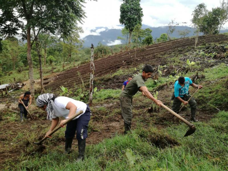 Selbsthilfe der Farc-Mitglieder Selbsthilfe de Farc-Mitglieder