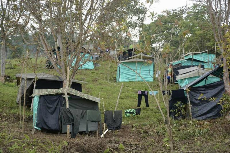 Die Farc-Guerileros sind geübt im Bau provisorischer Unterkünfte ... Die Farc-Guerileros sind geübt im Bau provisorischer Unterkünfte