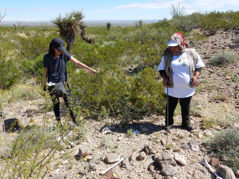 Teilnehmende der Suche bei Knochenfunden im Juáreztal