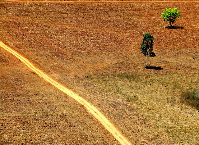 Gelder aus Steueroasen führen indirekt zu Rodungen im Amazonas. Brasilianischer Regenwald wird der Agrarwirtschaft geopfert