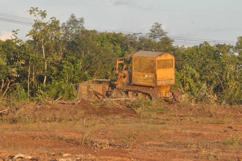 Eine Raupe zerstört tropischen Wald im Bundesstaat Tocantins, um Flächen für die Soja-Produktion frei zu machen.