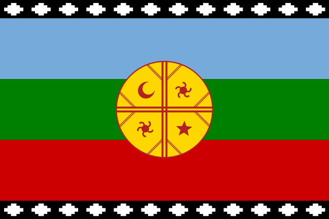 Die Fahne der Mapuche