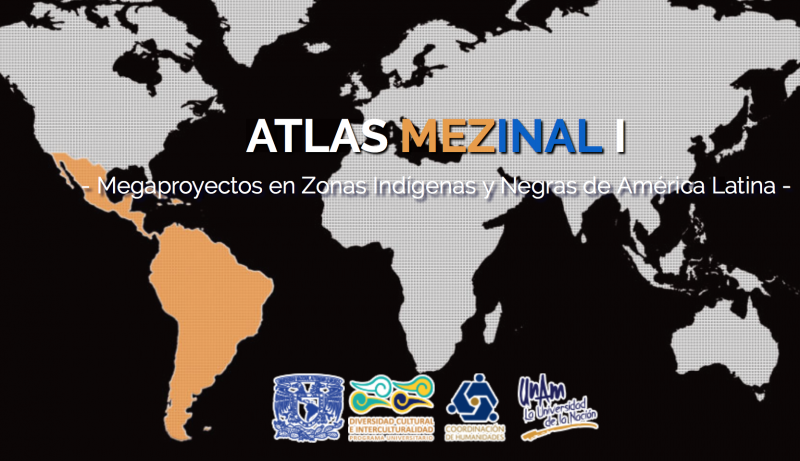 Startseite des Forschungsprojektes an der Unam in Mexiko