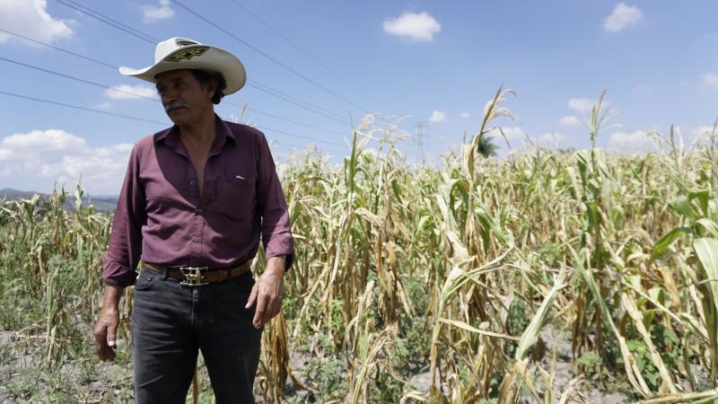 Der Landwirt Oscar Huey vor einem seiner vertrockneten Felder