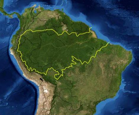 Der Amazonas-Regenwald umfasst sechs Millionen Quadratkilometer in neun Ländern Der weitaus größte Teil, etwa 60 Prozent, befindet sich in Brasilien