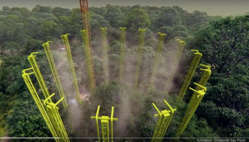 Eine Vielzahl meterhoher Türme soll die Bäume mit CO2 "einnebeln". Animation: Universität São Paulo. (screenshot)