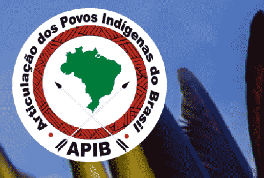 Die internationale Aktion wurde von der Koordination indigener Völker Brasiliens (Apib) organisiert
