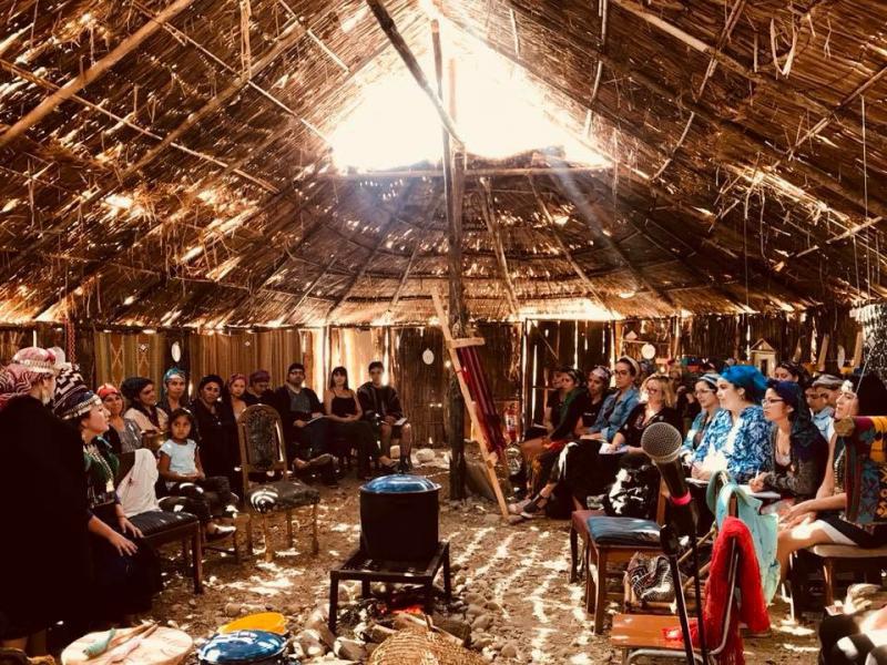 Indigener Feminismus, Frauennetzwerke und feminismos populares - eine Botschaft aus der Mapuche Kunstschule in Chile zum 8. März 2019