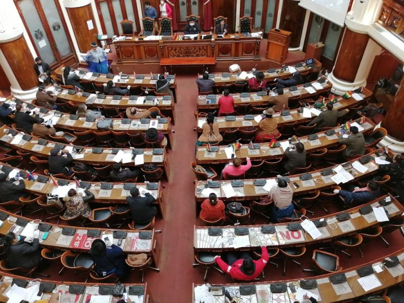Abgeordnetenhauses und Senat in Bolivien stimmten mehrheitlich für Wahlen innerhalb der nächsten 90 Tage