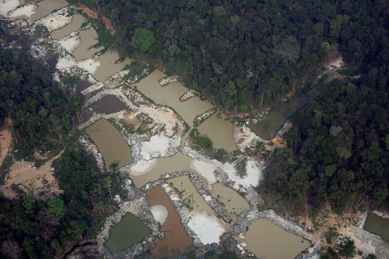 Greenpeace: Die Regierung Bolsonaro militarisiert den Umweltschutz und stoppt das Engagement der Zivilgesellschaft