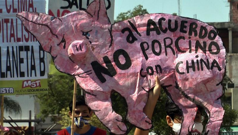 Die Proteste in Argentinien gegen die Massenproduktion von Schweinefleisch nehmen zu
