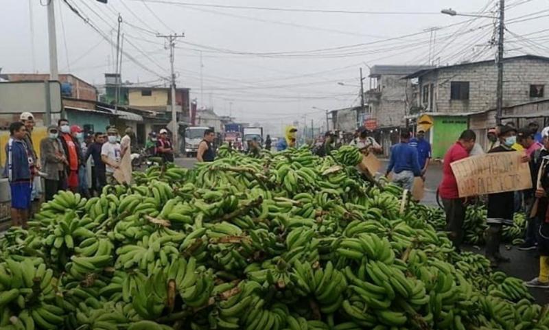 Kleine und mittlere Bananenerzeuger in den Provinzen Los Ríos, El Oro und Guayas legten die Arbeit nieder und forderten die Einhaltung der Mindestpreise für die Vermarktung