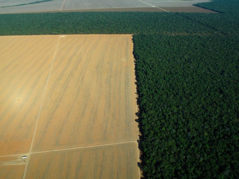 Die Agrarindustrie – wie hier im brasilianischen Bundesstaat Mato Grosso – ist einer der größten Exporteure in die EU und Haupttreiber der Entwaldung in der Region