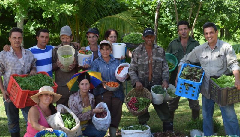 Belegschaft der Finca Marta in Artemisa