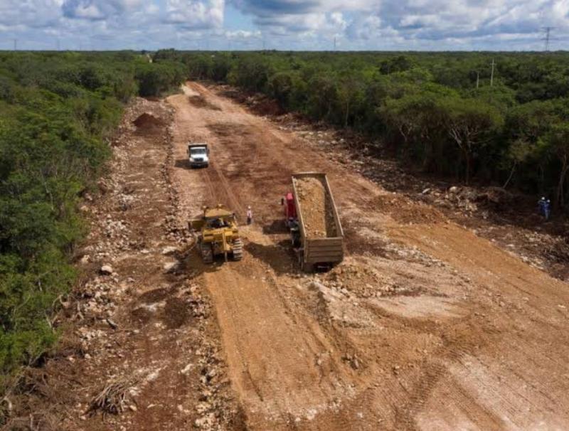 Für den Tren Maya sollen viele Kilometer Urwald gerodet werden
