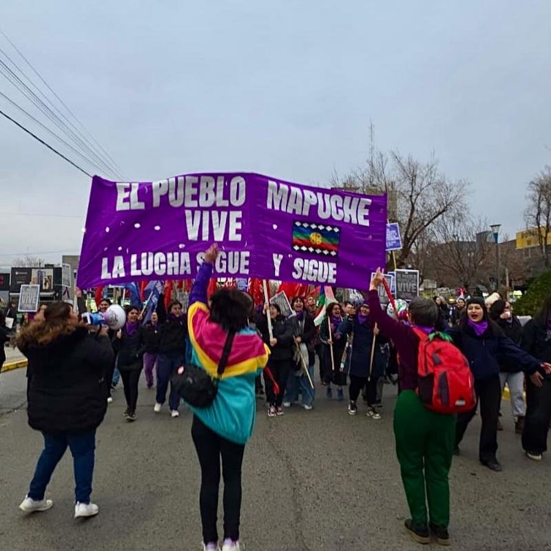 Ein Protestmarsch zur Unterstützung der Mapuche in Neuquén