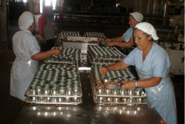 Arbeiterinnen in der Fischereikooperative La Gaviota