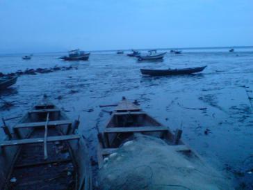 Trügerische Idylle - Boote in der Bucht von Sepetiba