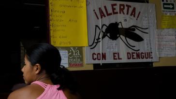 Warnung vor der Mücke: Mosquitos übertragen den Dengue-Erreger Warnung vor der Mücke: Mosquitos übertragen den Dengue-Erreger