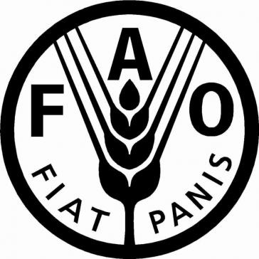 Logo der Ernährungs- und Landwirtschaftsorganisation der Vereinten Nationen (FAO)