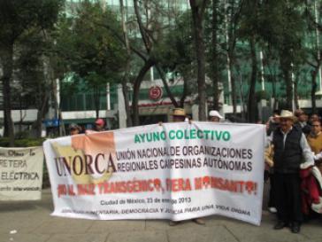 Mitglieder der Bauernorganisation UNORCA protestieren Mitglieder der Bauernorganisation UNORCA protestieren