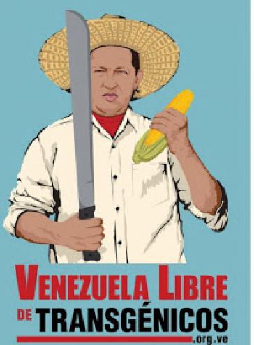 Der frühere Präsident Hugo Chávez als Landarbeiter auf dem Plakat der Kampagne "Venezuela – frei von transgenem Saatgut" Der frühere Präsident Hugo Chávez als Landarbeiter auf dem Plakat der Kampagne "Venezuela – frei von transgenem Saatgut"