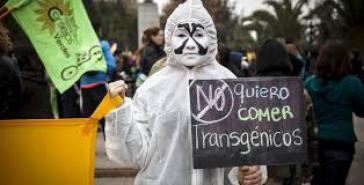 Proteste gegen Monsanto fanden in mehreren Staaten Lateinamerikas statt