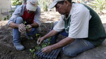 Venezuelas Regierung will die einheimische Nahrungsmittelproduktion verstärken