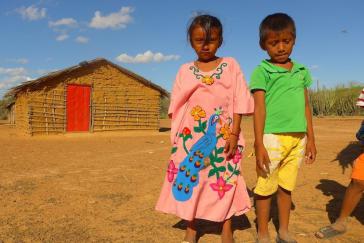 Insgesamt sind in den letzten neun Jahren circa 5.000 Wayuu-Kinder durch Krankheiten, Mangelernährung und Durst umgekommen Insgesamt sind in den letzten neun Jahren circa 5.000 Wayuu-Kinder durch Krankheiten, Mangelernährung und Durst umgekommen