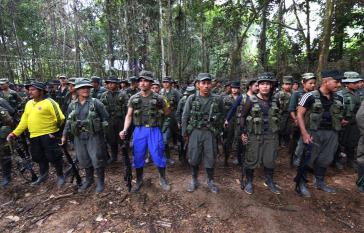 Alle Farc-Mitglieder sollen sich in 27 Übergangszonen einfinden Alle Farc-Mitglieder sollen sich in 27 Übergangszonen einfinden