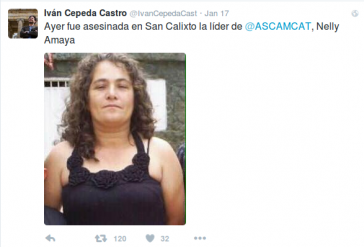 Senator Cepeda informiert über den Mord an Nelly Amaya