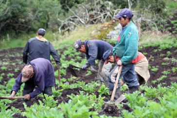 Die zwischen Regierung und Farc vereinbarte Landreform sollte den Kleinbauern in Kolumbien zugutekommen