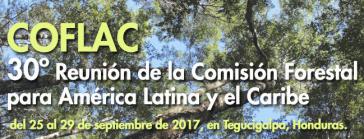 Die Forstkommission für Lateinamerika und die Karibik (Coflac) tagte in Honduras