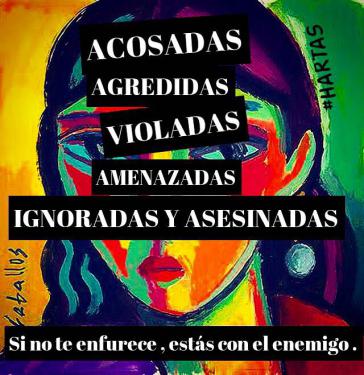 Plakat gegen Frauenmorde der Gruppe "Ni una menos": "Angefeindet, angegriffen, vergewaltigt, bedroht, ignoriert und ermordet. Wenn es dich nicht wütend macht, gehörst du zum Feind"