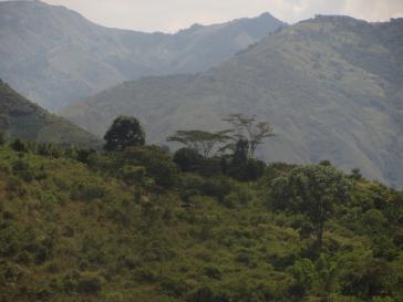 Die kleinbäuerlich geprägte Region Cauca in Kolumbien ist besonders von der erneuten Gewalt gegen linke Aktivisten betroffen