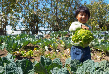 Das ecuadorianische Partizipative Urbane Landwirtschaftsprogramm gewann einen Preis für weltbeste Politiken, die Agrarökologie voranbringen