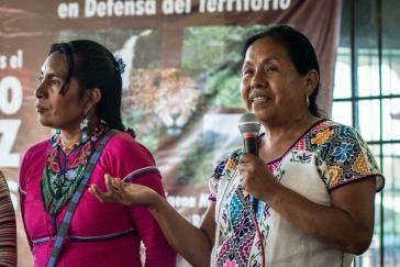 Reist durch Mexiko, um die notwendigen Unterschriften für ihre Kandiatur bei den Präsidentschaftswahlen zu erreichen:  María de Jesús Patricio Martínez