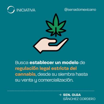 Senatorin Olga Sánchez Cordero von der Partei Morena legte den Gesetzentwurf zur Entkriminalisierung des Cannabis-Konsums dem Senat von Mexiko vor