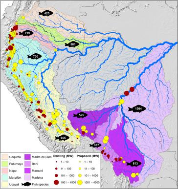 Bereits gebaute oder in Bau befindliche (rot) und geplante Wasserkraftwerke (gelb) in den andin-amazonischen Flussbecken. Die Zahl auf den Fischen markiert den Fischreichtum in jedem Becken Bereits gebaute oder in Bau befindliche (rot) und geplante Wasserkraftwerke (gelb) in den andin-amazonischen Flussbecken. Die Zahl auf den Fischen markiert den Fischreichtum in jedem Becken