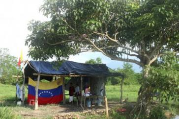 Kleinbauern fingen im Jahr 2017 auf eigene Initiative an, Bohnen, Mais und Kochbananen  auf "La Escondida" anzubauen