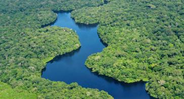 "Amazonien wird weiterhin der Tempel der größten Biodiversität sein"