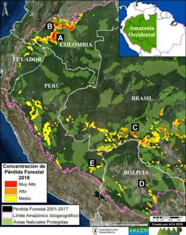 Im westlichen Amazonasgebiet sind 2018 fast eine Million Hektar Wald verloren gegangen