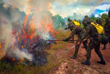 Feuerwehrleute des Militärs im Einsatz gegen Waldbrände in Brasiliens Bundestaat Pará Feuerwehrleute des Militärs im Einsatz gegen Waldbrände in Brasiliens Bundestaat Pará