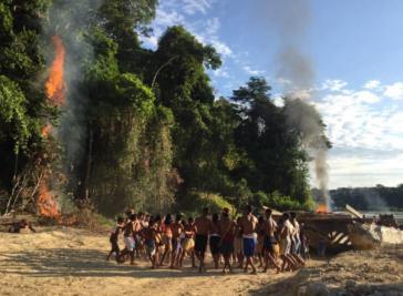 Setzt sich gegen Holzfäller zur Wehr: die indigene Gemeinschaft der Munduruku